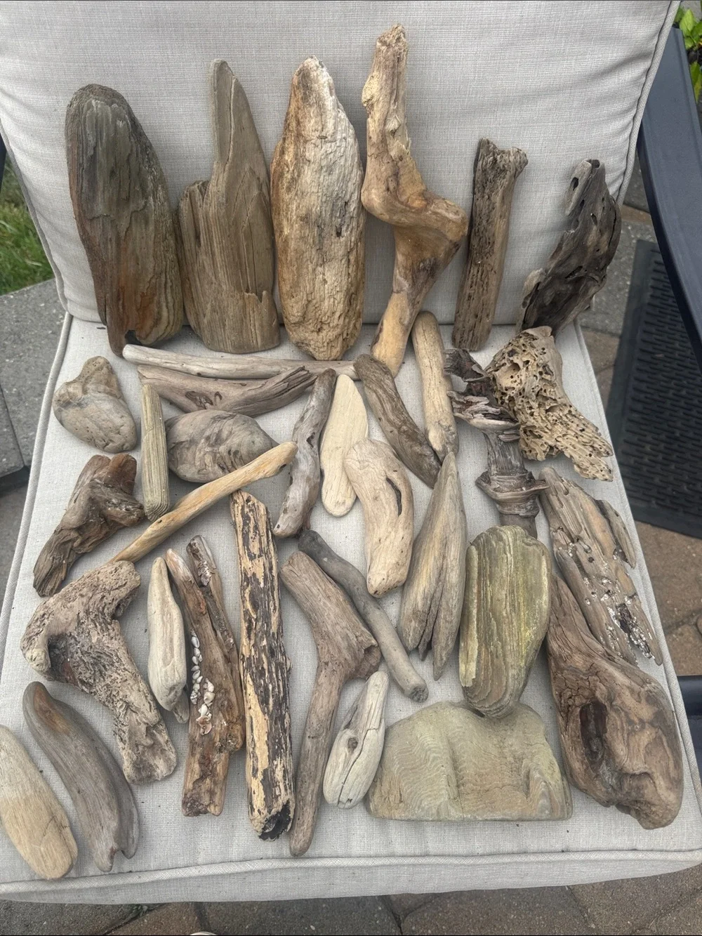 34 Pc (5lbs shipped) Box of beach Natural Driftwood Pieces for craft or decor